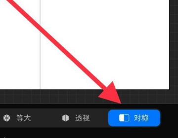 Procreate对称绘图如何开启：绘图指引与图层辅助设置